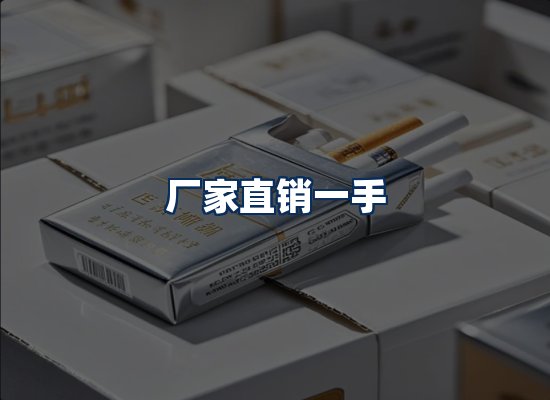 专业团队办公环境